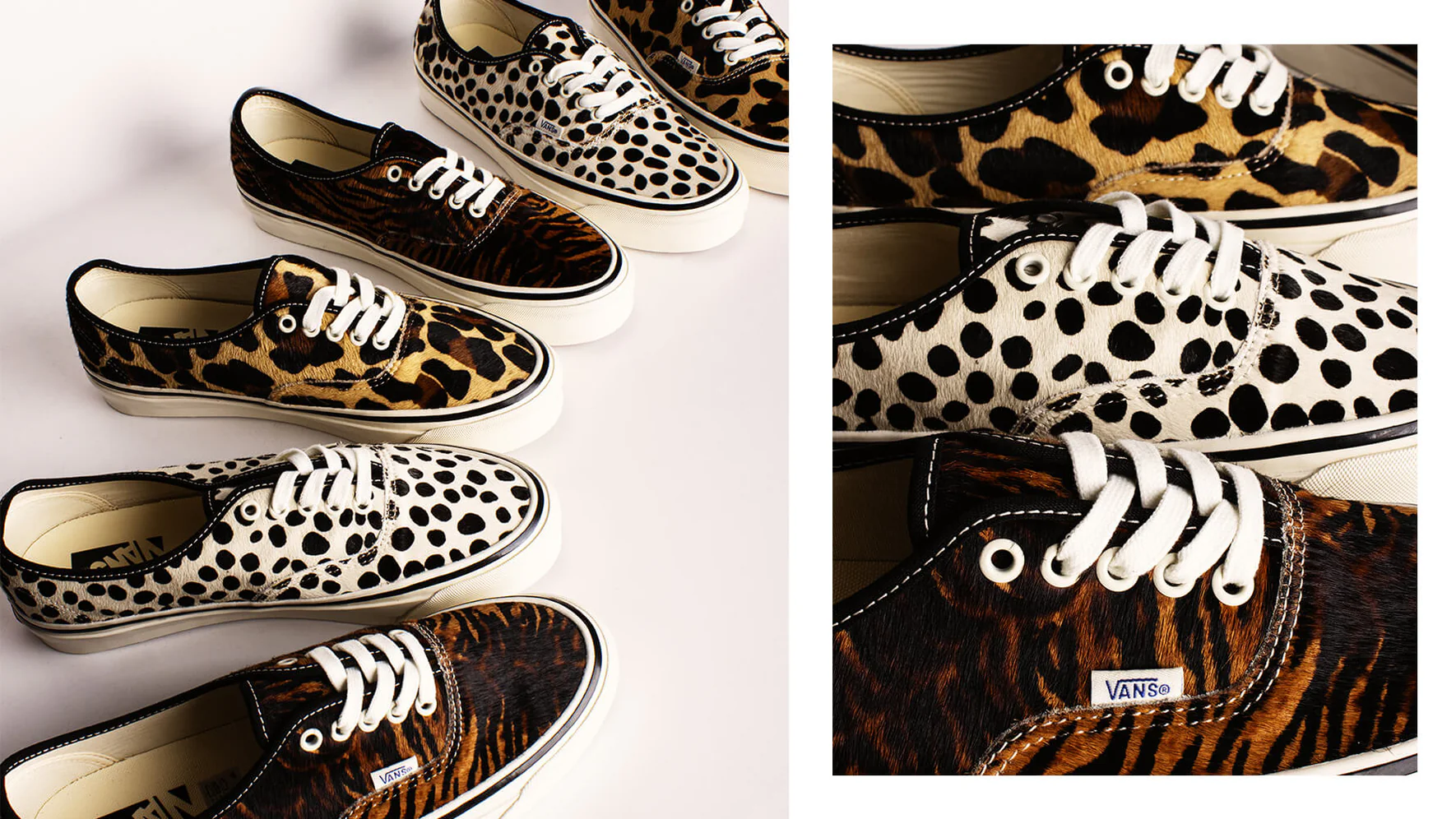 Welcome to Our Store